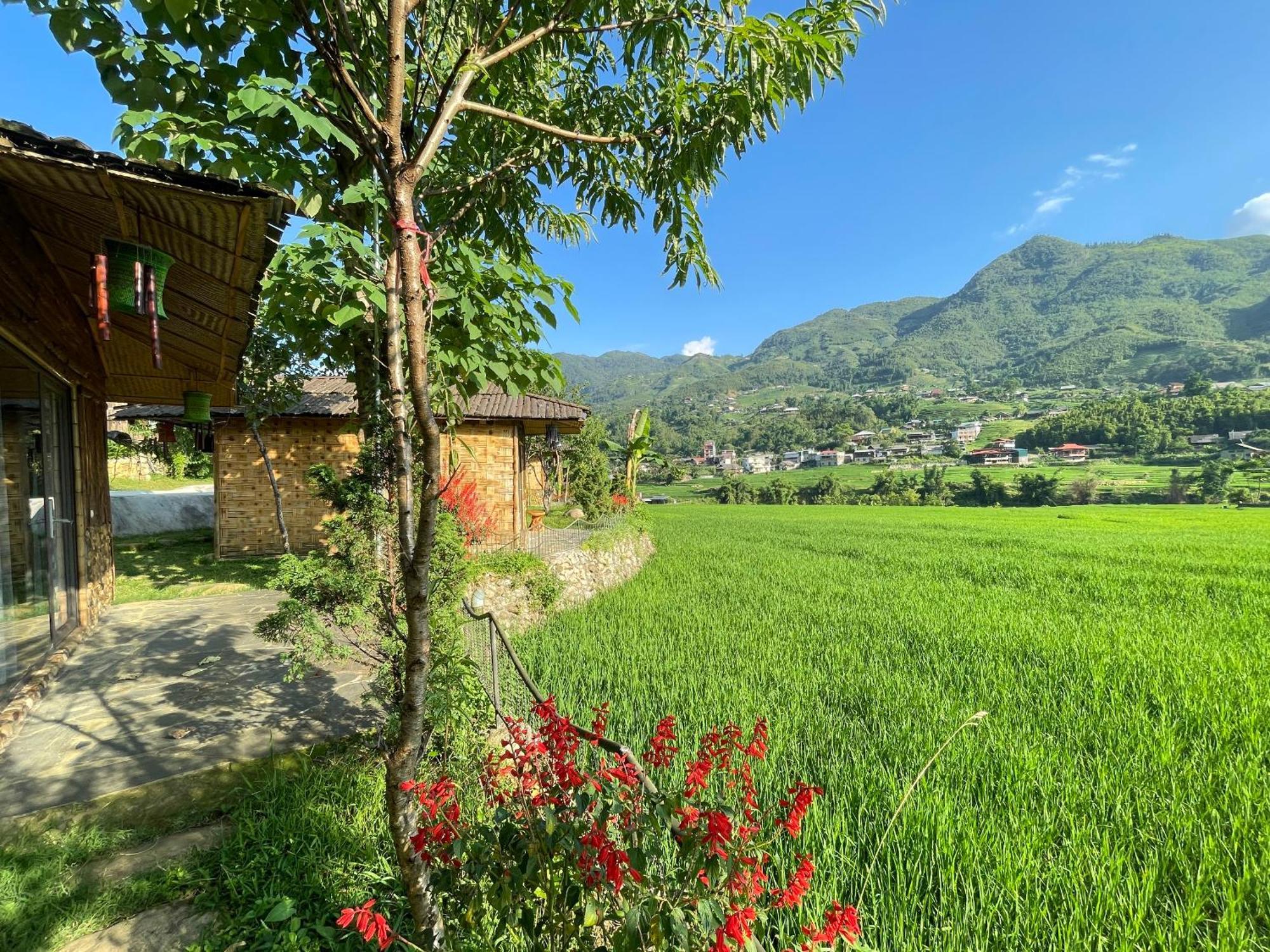 Sapa Bamboo Ecoゲストハウス エクステリア 写真